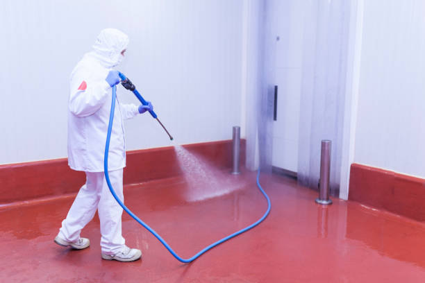 Reliable Tucumcari, NM Pressure Washing Services Solutions